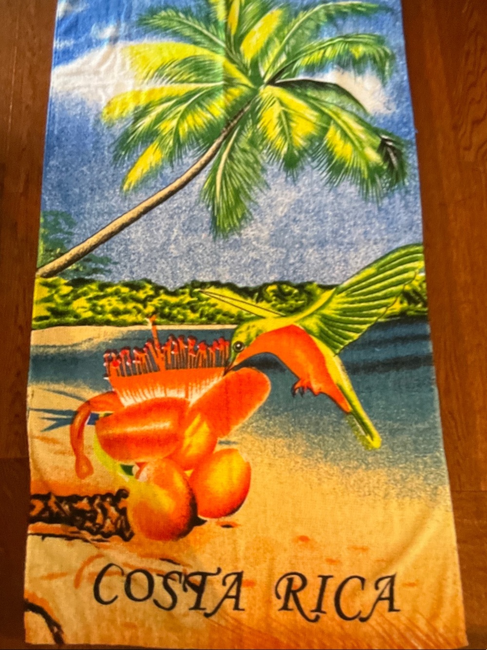 Beach Towel NWOT